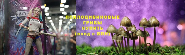 ПСИЛОЦИБИНОВЫЕ ГРИБЫ Дмитриев