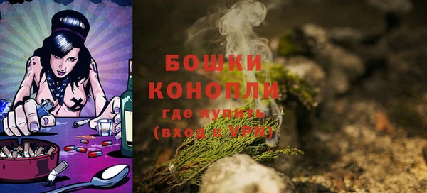 молекула духа Нея