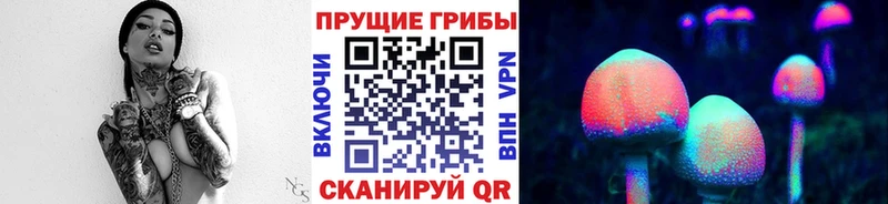 Галлюциногенные грибы Psilocybe  мориарти формула  Колпашево 
